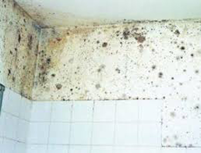 Schimmel badkamer verwijderen |